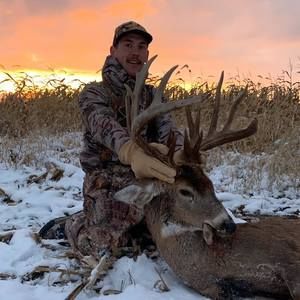 Meet your Posher, Samuel